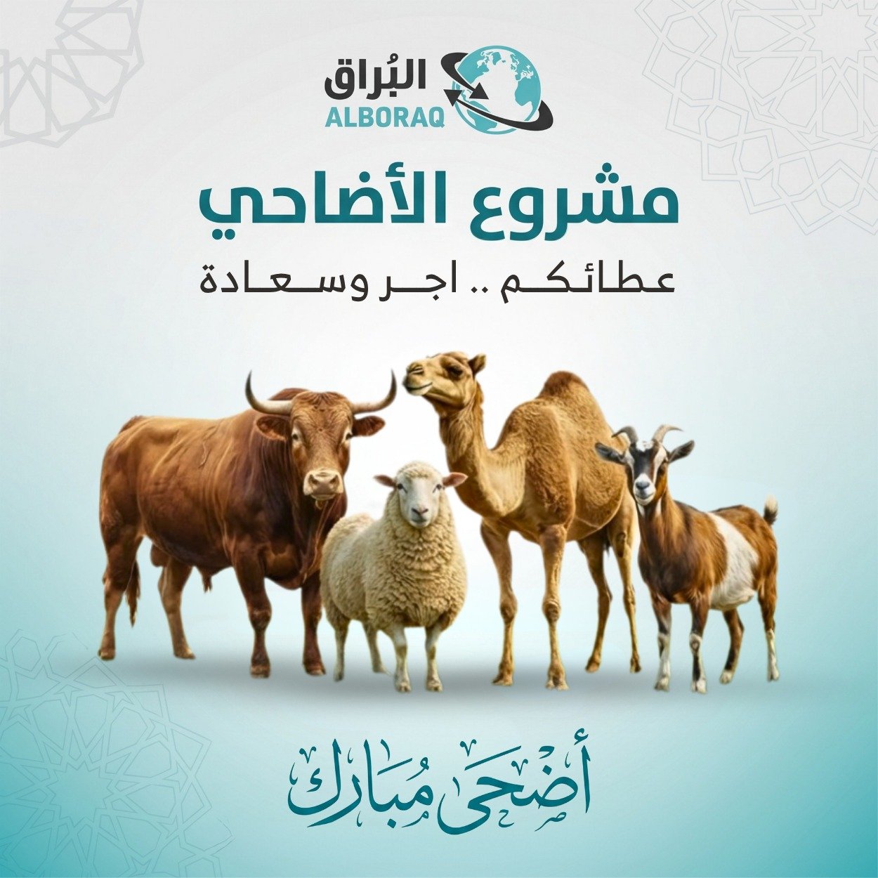 الأضاحي