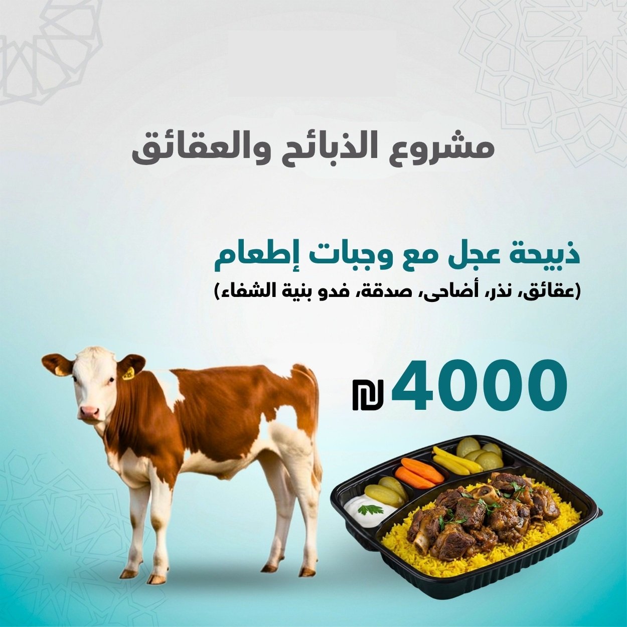 ذبيحة عجل مع وجبات