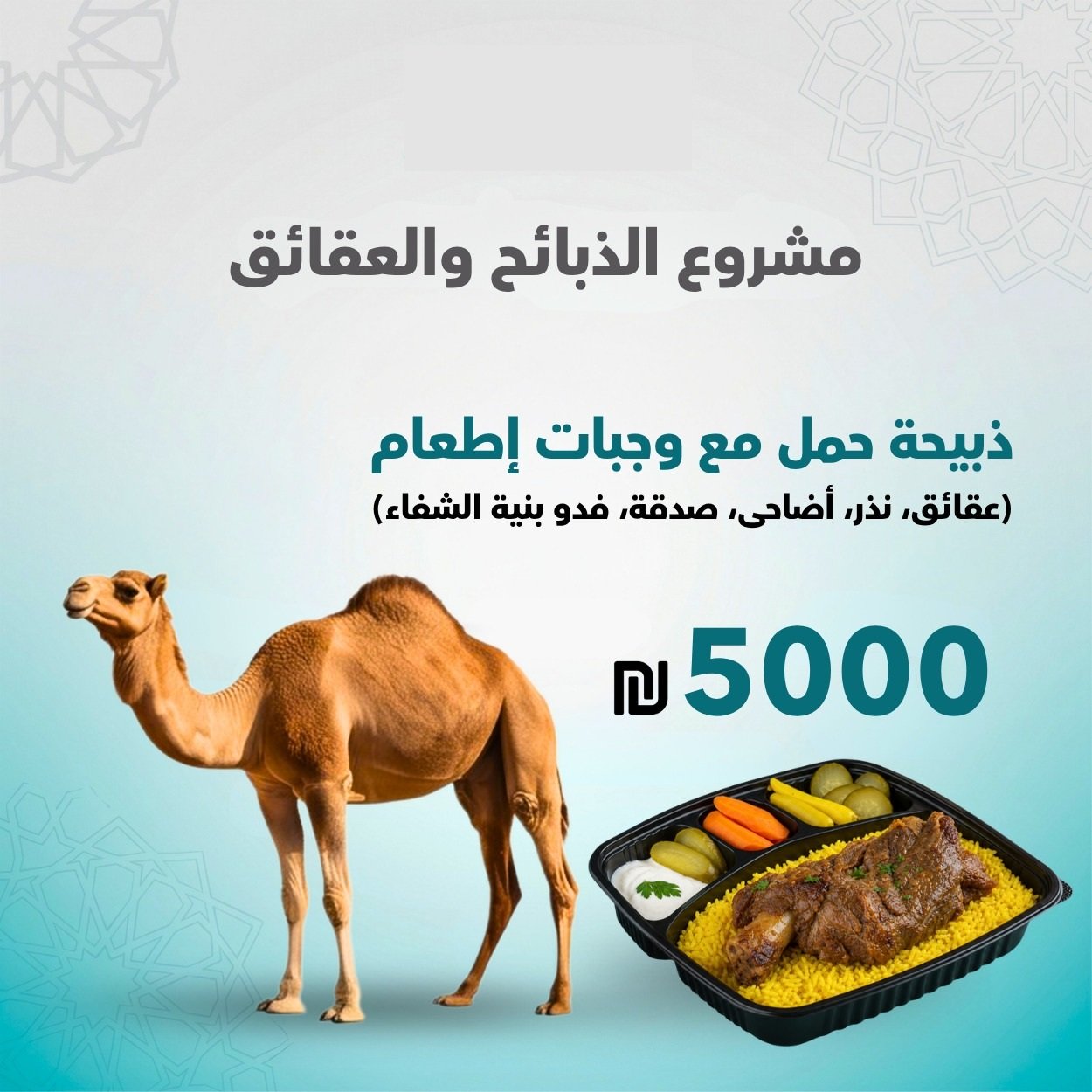 ذبيحة جمل مع وجبات