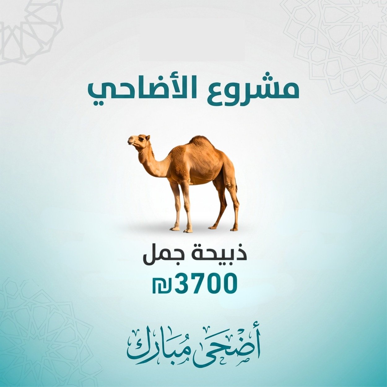 ذبيحة جمل