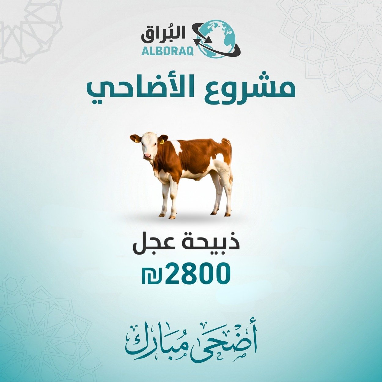 ذبيحة عجل
